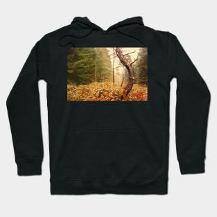 The Autumn Dancing Pine Hoodie